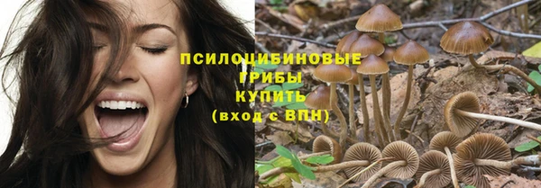 крисы Вязники