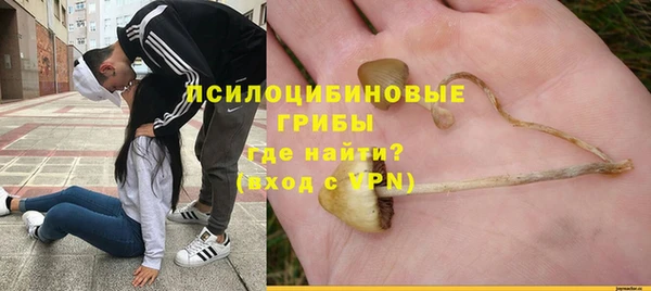 гашик Вяземский