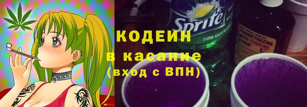 мдпв Верхний Тагил