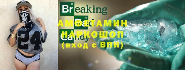 гашик Вяземский
