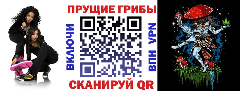 где можно купить наркотик  Верхняя Тура  Галлюциногенные грибы Cubensis 